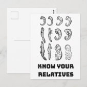 Evolutie Embryogenese Briefkaart (Voorkant / Achterkant)