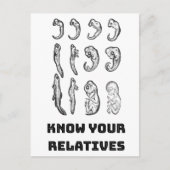 Evolutie Embryogenese Briefkaart (Voorkant)