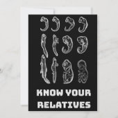 Evolutie Embryogenese Feestdagenkaart (Voorkant)