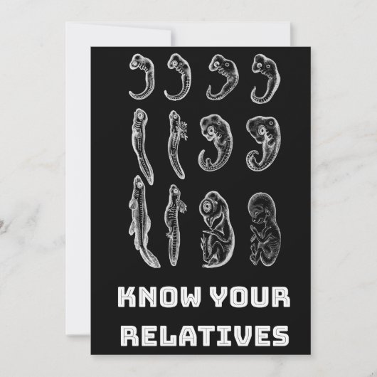 Evolutie Embryogenese Feestdagenkaart (Voorkant)