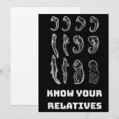 Evolutie Embryogenese Feestdagenkaart (Voorkant / Achterkant)