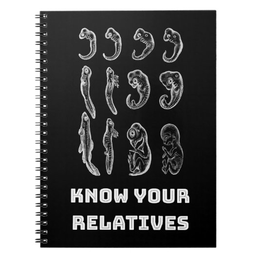 Evolutie Embryogenese Notitieboek (Voorkant)