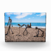 Evolutie Fotoblokken (Voorkant)