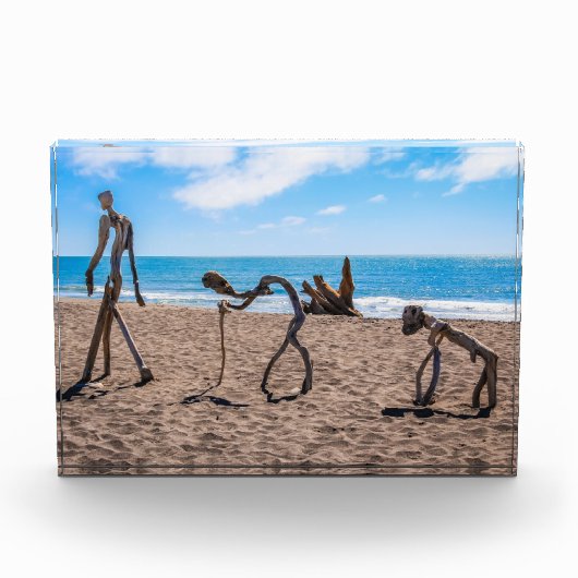 Evolutie Fotoblokken (Voorkant)