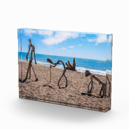 Evolutie Fotoblokken