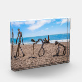 Evolutie Fotoblokken (Links)