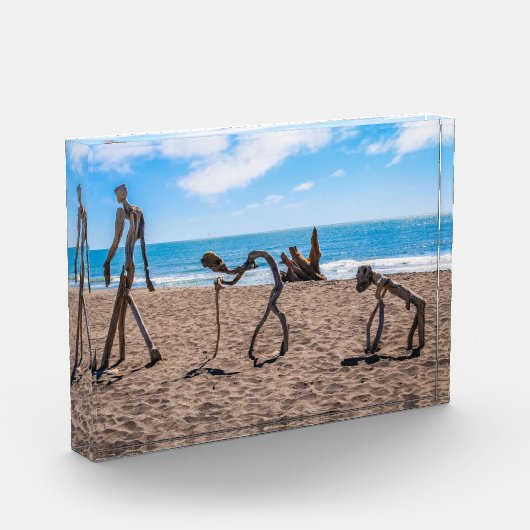 Evolutie Fotoblokken (Links)