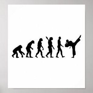 Evolutie Karate kickboxing Poster