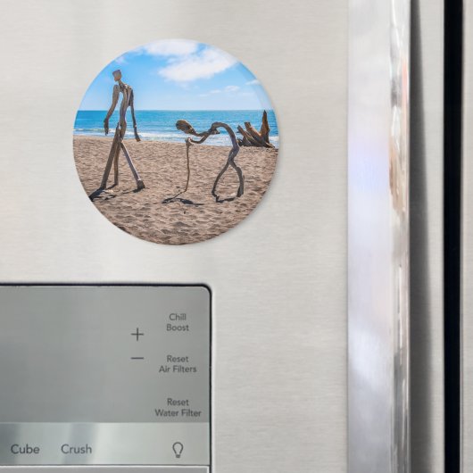 Evolutie Magneet (Insitu (Koelkast))