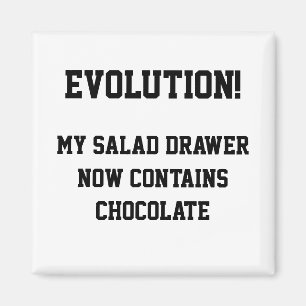 Evolutie Magneet