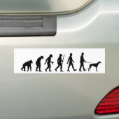Evolutie naar Greyhound Owner Bumpersticker (Op auto)