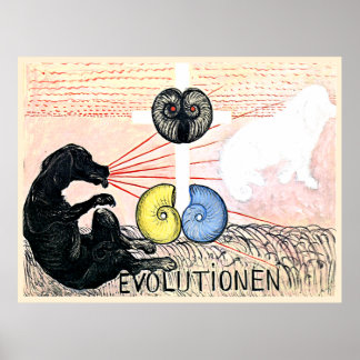 Evolutie nr. 5, Groep VI, Poster