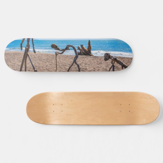 Evolutie Persoonlijk Skateboard (Horizontaal)