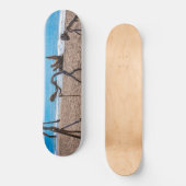 Evolutie Persoonlijk Skateboard (Voorkant)