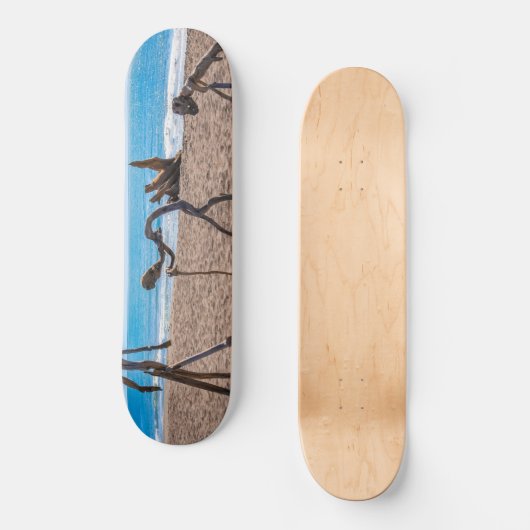 Evolutie Persoonlijk Skateboard (Voorkant)