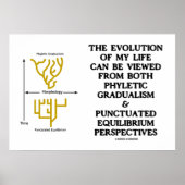 Evolutie Phyletic Gradualism Punctuated equilibrm Poster (Voorkant)