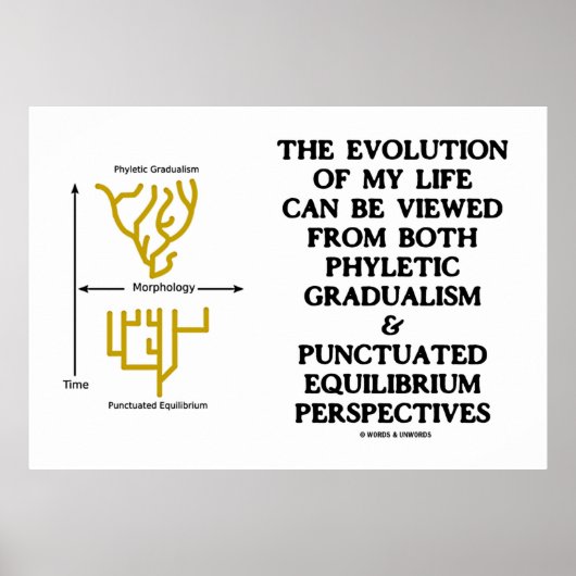 Evolutie Phyletic Gradualism Punctuated equilibrm Poster (Voorkant)