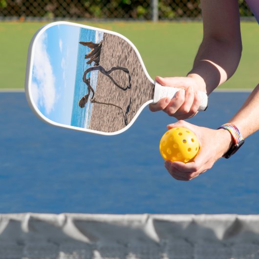 Evolutie Pickleball Paddle (Insitu)