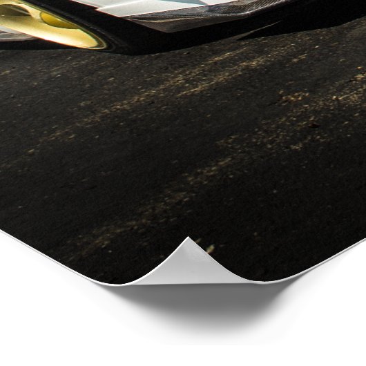 Evolutie Poster (Hoek)