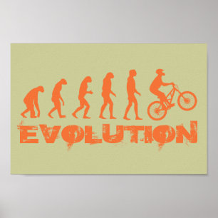 Evolutie Poster
