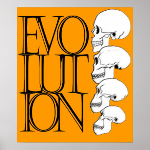 Evolutie Poster