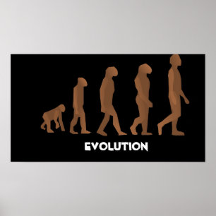 Evolutie-Posters Poster