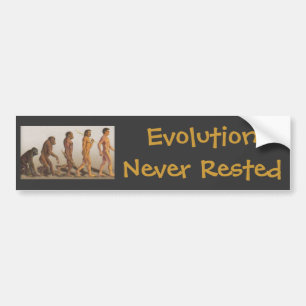 Evolutie Rust Nooit Bumpersticker