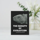 Evolutie schoonheid haai briefkaart (Staand voorkant)