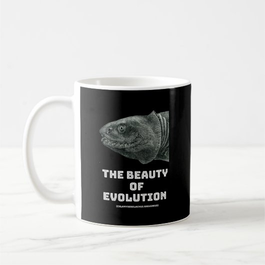 Evolutie schoonheid haai koffiemok (Links)
