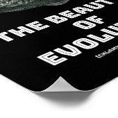 Evolutie schoonheid haai poster (Hoek)