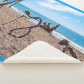 Evolutie Sherpa Deken (3/4)