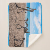 Evolutie Sherpa Deken (Voorkant)