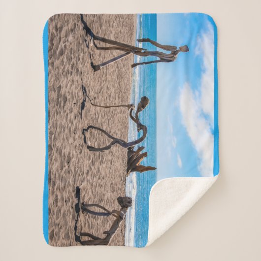 Evolutie Sherpa Deken (Voorkant)