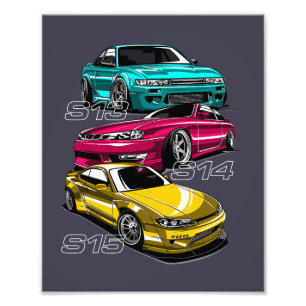 EVOLUTIE SILVIA'S-CHASSIS FOTO AFDRUK