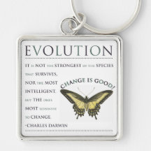 Evolutie