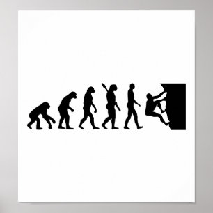 Evolutie-stijgbaan Poster
