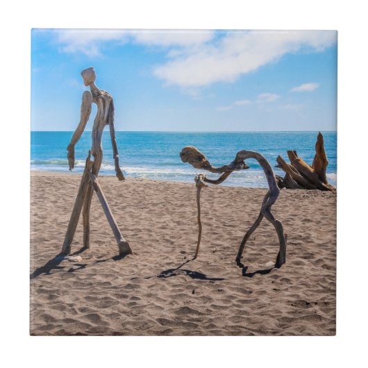 Evolutie Tegeltje (Voorkant)