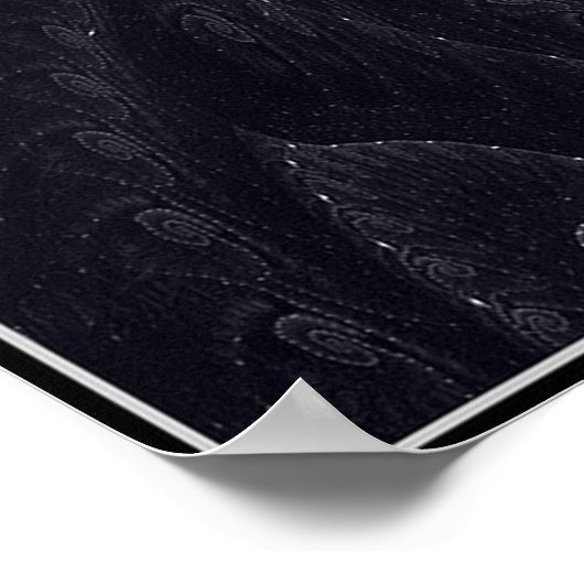 EVOLUTIE VAN DARWIN POSTER (Hoek)