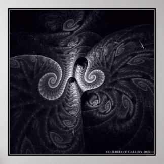 EVOLUTIE VAN DARWIN POSTER