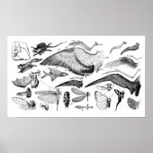 Evolutie van de vlucht poster (Voorkant)