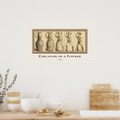 Evolutie van een Pitcher ~ 1889 ~  Fine Art Poster (Keuken)