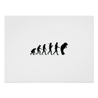 Evolutie van het beheer perfect poster