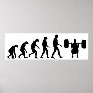 Evolutie van het gewicht poster