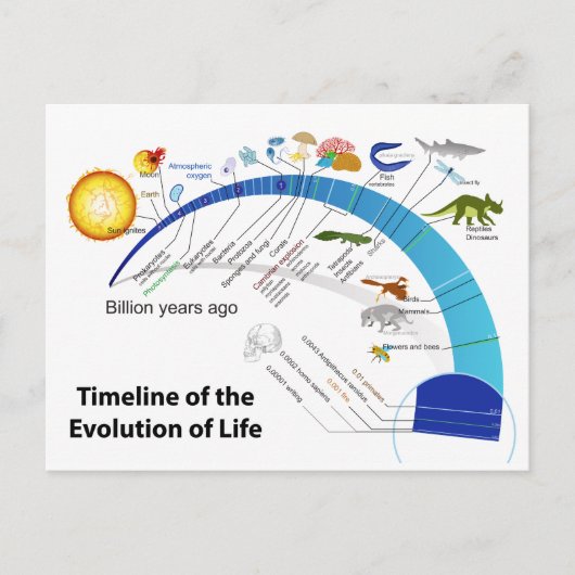 Evolutie van het leven op het diagram van de aardt briefkaart (Voorkant)