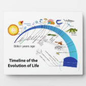 Evolutie van het leven op het diagram van de aardt fotoplaat (Voorkant)