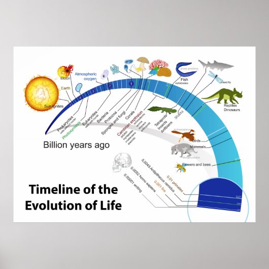 Evolutie van het leven op het diagram van de aardt poster (Voorkant)