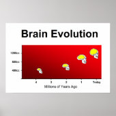 Evolutie van het menselijk brein poster (Voorkant)