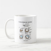 Evolutie van het oog koffiemok (Links)