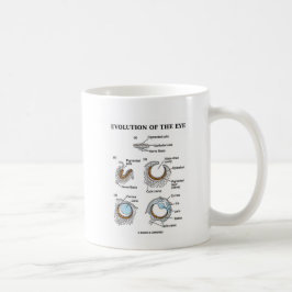 Evolutie van het oog koffiemok