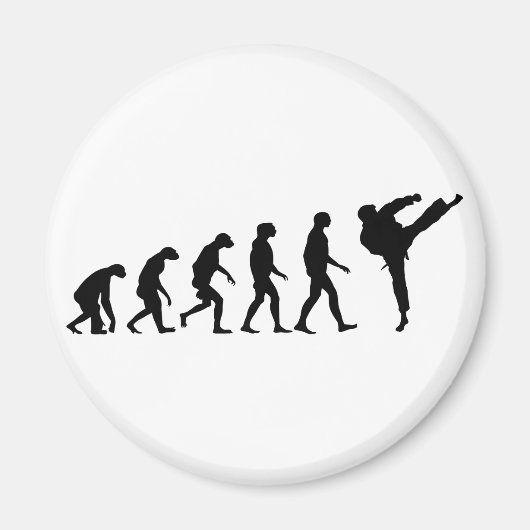 Evolutie van Karate Magneet (Voorkant)